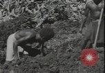Image of Seabees on Guadalcanal Guadalcanal Solomon Islands, 1942, second 36 stock footage video 65675074730