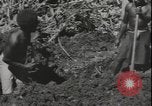 Image of Seabees on Guadalcanal Guadalcanal Solomon Islands, 1942, second 37 stock footage video 65675074730