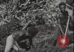 Image of Seabees on Guadalcanal Guadalcanal Solomon Islands, 1942, second 38 stock footage video 65675074730