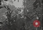 Image of United States army quonset hut Guadalcanal Solomon Islands, 1942, second 1 stock footage video 65675074731