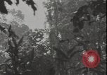 Image of United States army quonset hut Guadalcanal Solomon Islands, 1942, second 3 stock footage video 65675074731