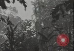 Image of United States army quonset hut Guadalcanal Solomon Islands, 1942, second 4 stock footage video 65675074731