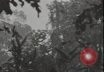 Image of United States army quonset hut Guadalcanal Solomon Islands, 1942, second 5 stock footage video 65675074731
