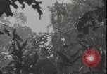 Image of United States army quonset hut Guadalcanal Solomon Islands, 1942, second 6 stock footage video 65675074731