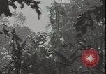 Image of United States army quonset hut Guadalcanal Solomon Islands, 1942, second 7 stock footage video 65675074731