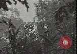 Image of United States army quonset hut Guadalcanal Solomon Islands, 1942, second 9 stock footage video 65675074731