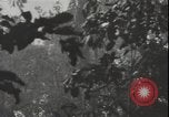 Image of United States army quonset hut Guadalcanal Solomon Islands, 1942, second 13 stock footage video 65675074731