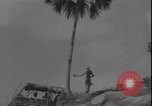 Image of United States Marines Guadalcanal Solomon Islands, 1942, second 27 stock footage video 65675074732