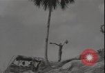 Image of United States Marines Guadalcanal Solomon Islands, 1942, second 30 stock footage video 65675074732