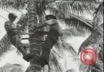 Image of United States Marines Guadalcanal Solomon Islands, 1942, second 25 stock footage video 65675074733