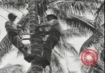Image of United States Marines Guadalcanal Solomon Islands, 1942, second 26 stock footage video 65675074733