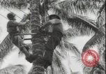 Image of United States Marines Guadalcanal Solomon Islands, 1942, second 27 stock footage video 65675074733