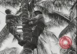 Image of United States Marines Guadalcanal Solomon Islands, 1942, second 28 stock footage video 65675074733