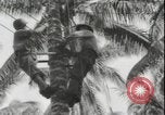 Image of United States Marines Guadalcanal Solomon Islands, 1942, second 29 stock footage video 65675074733