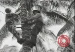 Image of United States Marines Guadalcanal Solomon Islands, 1942, second 30 stock footage video 65675074733