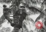 Image of United States Marines Guadalcanal Solomon Islands, 1942, second 31 stock footage video 65675074733