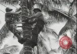 Image of United States Marines Guadalcanal Solomon Islands, 1942, second 32 stock footage video 65675074733