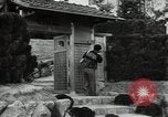 Image of Natural disasters in Japan early 1900s Tokyo Japan, 1937, second 6 stock footage video 65675074741