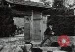 Image of Natural disasters in Japan early 1900s Tokyo Japan, 1937, second 7 stock footage video 65675074741