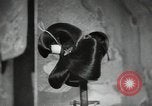Image of Japanese kabuki dance performers Japan, 1939, second 31 stock footage video 65675074742