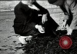Standbild sowjetischen Marine Offiziere Litauen Sowjetunion, 1947, aus Sekunde 1 historischem Filmmaterial Videoclip 65675074790