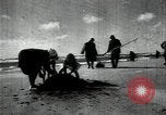 Standbild sowjetischen Marine Offiziere Litauen Sowjetunion, 1947, aus Sekunde 3 historischem Filmmaterial Videoclip 65675074790