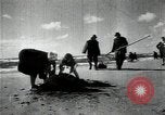 Standbild sowjetischen Marine Offiziere Litauen Sowjetunion, 1947, aus Sekunde 4 historischem Filmmaterial Videoclip 65675074790