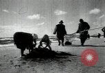 Standbild sowjetischen Marine Offiziere Litauen Sowjetunion, 1947, aus Sekunde 5 historischem Filmmaterial Videoclip 65675074790