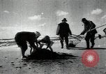 Standbild sowjetischen Marine Offiziere Litauen Sowjetunion, 1947, aus Sekunde 6 historischem Filmmaterial Videoclip 65675074790