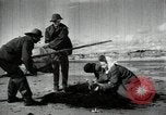 Standbild sowjetischen Marine Offiziere Litauen Sowjetunion, 1947, aus Sekunde 14 historischem Filmmaterial Videoclip 65675074790