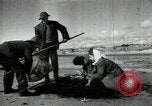Standbild sowjetischen Marine Offiziere Litauen Sowjetunion, 1947, aus Sekunde 15 historischem Filmmaterial Videoclip 65675074790