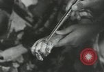 Image of Japanese child victims Nagasaki Japan, 1945, second 19 stock footage video 65675074794