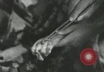 Image of Japanese child victims Nagasaki Japan, 1945, second 20 stock footage video 65675074794