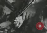 Image of Japanese child victims Nagasaki Japan, 1945, second 25 stock footage video 65675074794