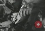 Image of Japanese child victims Nagasaki Japan, 1945, second 30 stock footage video 65675074794