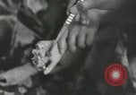 Image of Japanese child victims Nagasaki Japan, 1945, second 33 stock footage video 65675074794