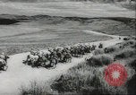 Standbild Civil Air Patrol Piloten United States USA, 1942, aus Sekunde 35 historischem Filmmaterial Videoclip 65675074799