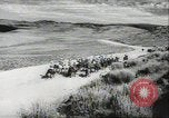 Standbild Civil Air Patrol Piloten United States USA, 1942, aus Sekunde 38 historischem Filmmaterial Videoclip 65675074799