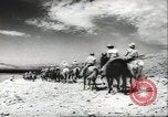 Standbild Civil Air Patrol Piloten United States USA, 1942, aus Sekunde 42 historischem Filmmaterial Videoclip 65675074799