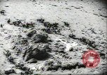 Standbild Civil Air Patrol Piloten United States USA, 1942, aus Sekunde 50 historischem Filmmaterial Videoclip 65675074799