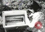 Standbild größte Bauernhof der Familie Quebec Kanada, 1942, aus Sekunde 22 historischem Filmmaterial Videoclip 65675074801