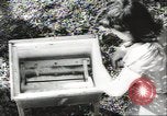 Standbild größte Bauernhof der Familie Quebec Kanada, 1942, aus Sekunde 23 historischem Filmmaterial Videoclip 65675074801