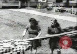 Standbild größte Bauernhof der Familie Quebec Kanada, 1942, aus Sekunde 37 historischem Filmmaterial Videoclip 65675074801