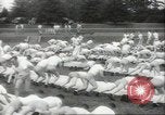 Image of Naval air cadets Georgia United States USA, 1942, second 10 stock footage video 65675074806