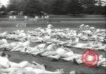 Image of Naval air cadets Georgia United States USA, 1942, second 11 stock footage video 65675074806