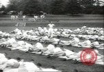 Image of Naval air cadets Georgia United States USA, 1942, second 12 stock footage video 65675074806