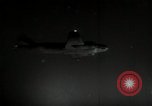 Image of Japanese kamikaze suicidal aircraft Pacific Ocean, 1944, second 44 stock footage video 65675074811