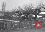Standbild Truppen Griechenland, 1941, aus Sekunde 5 historischem Filmmaterial Videoclip 65675074817