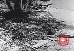 Image of personal camouflage Pacific Theater, 1941, second 54 stock footage video 65675074820