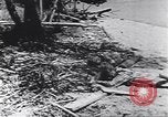 Image of personal camouflage Pacific Theater, 1941, second 56 stock footage video 65675074820